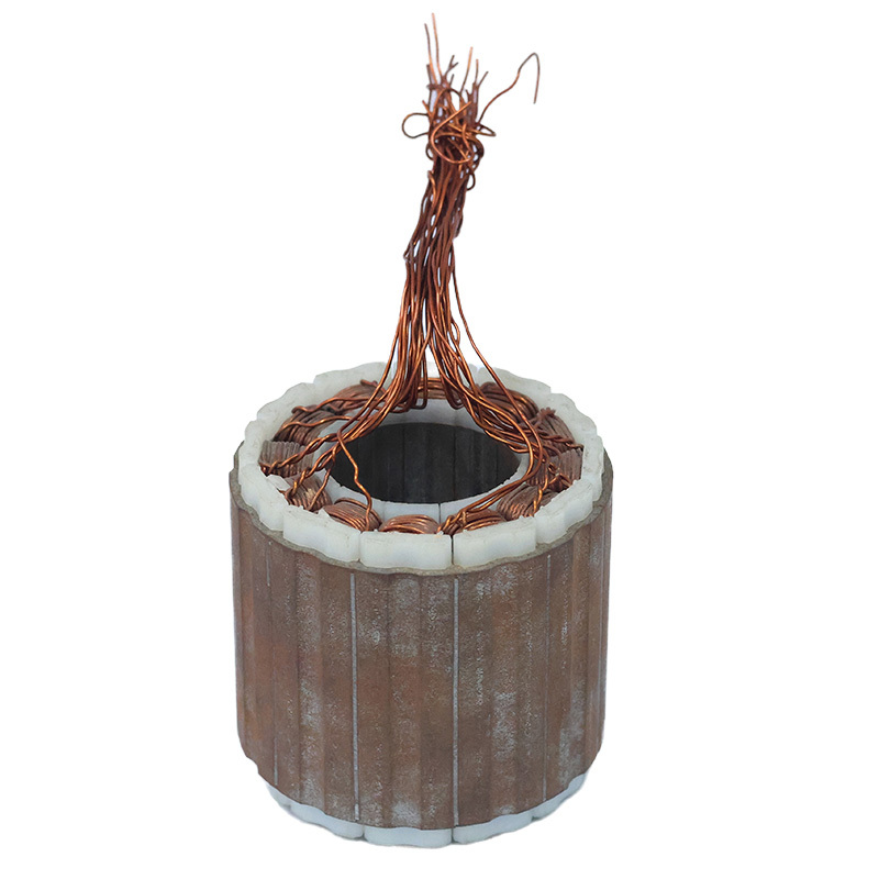 CXK (2025) Professional Factory in Changzhou China Offers Customized DC Motor Stator Assembly High Quality & Low Price.