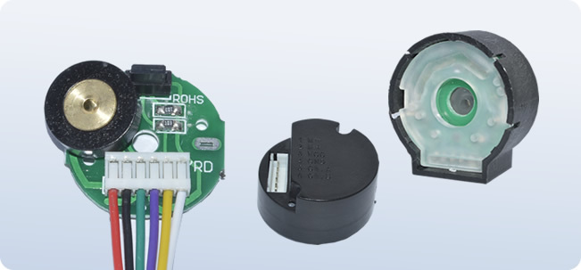 Micro DC Motor