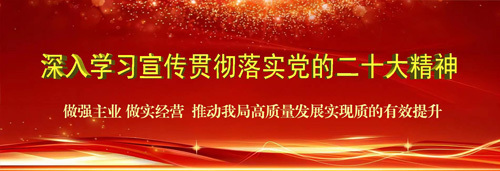 中国共产党第二十次全国代表大会