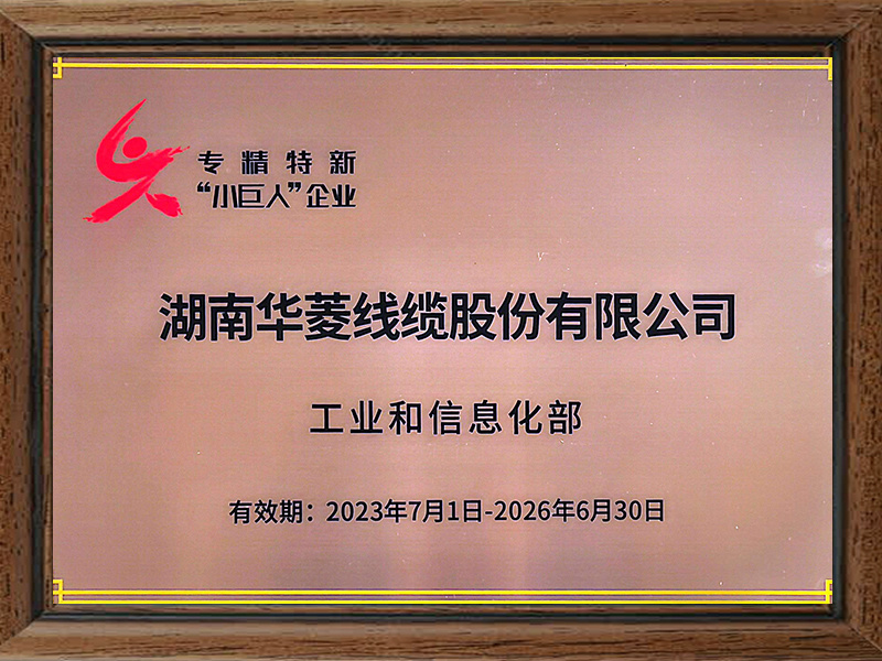 国家专精特新“小巨人”企业