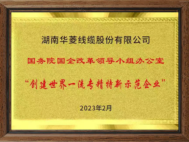 创建世界一流专精特新示范企业
