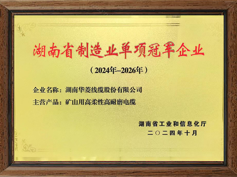 湖南省制造业单项冠军企业
