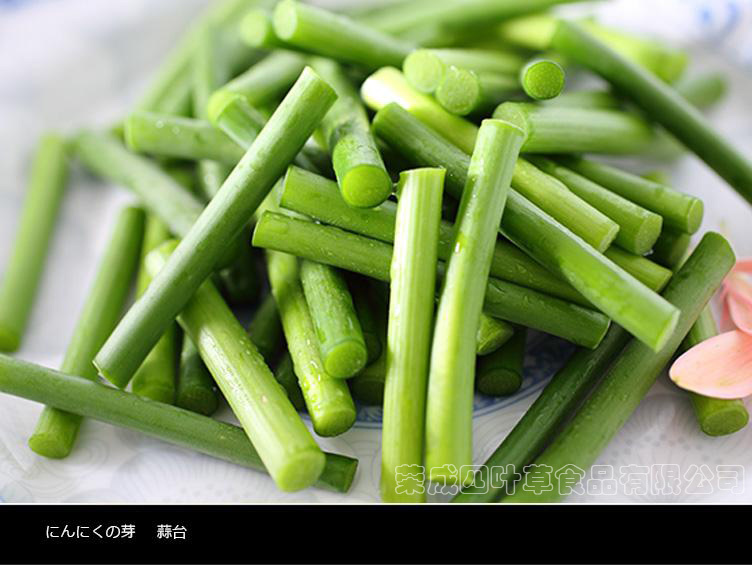 威海四叶草