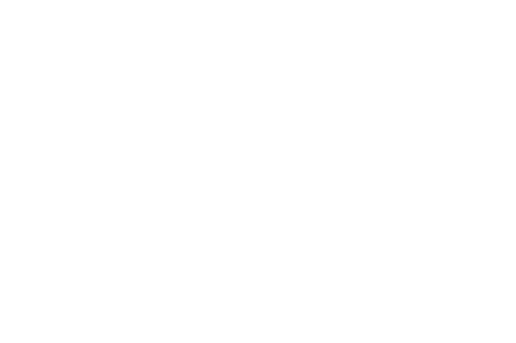 Organizational Structure Organizational Structure