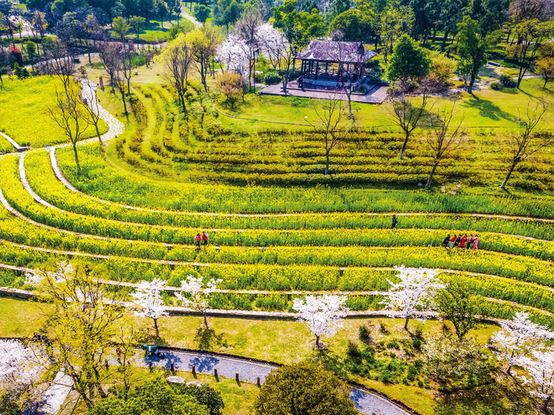第十届中国武汉园林博览会荆山修复
