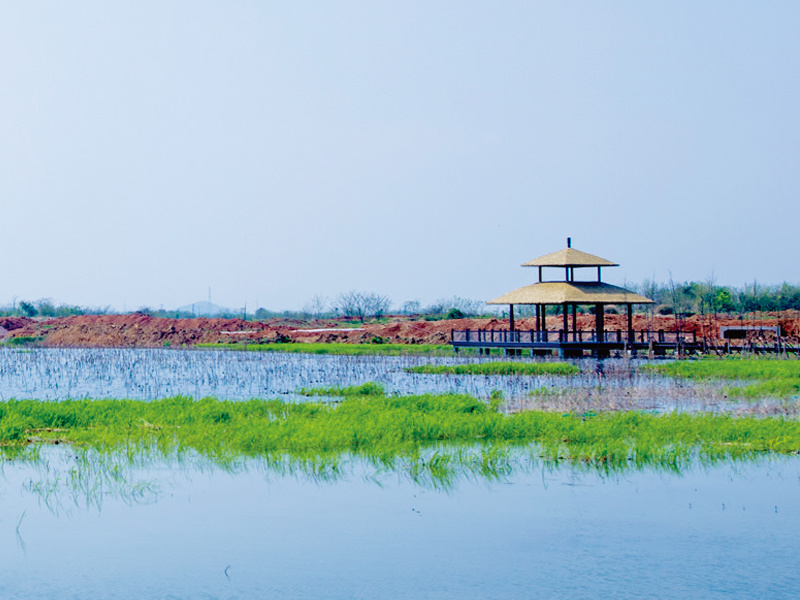 龙灵山生态公园