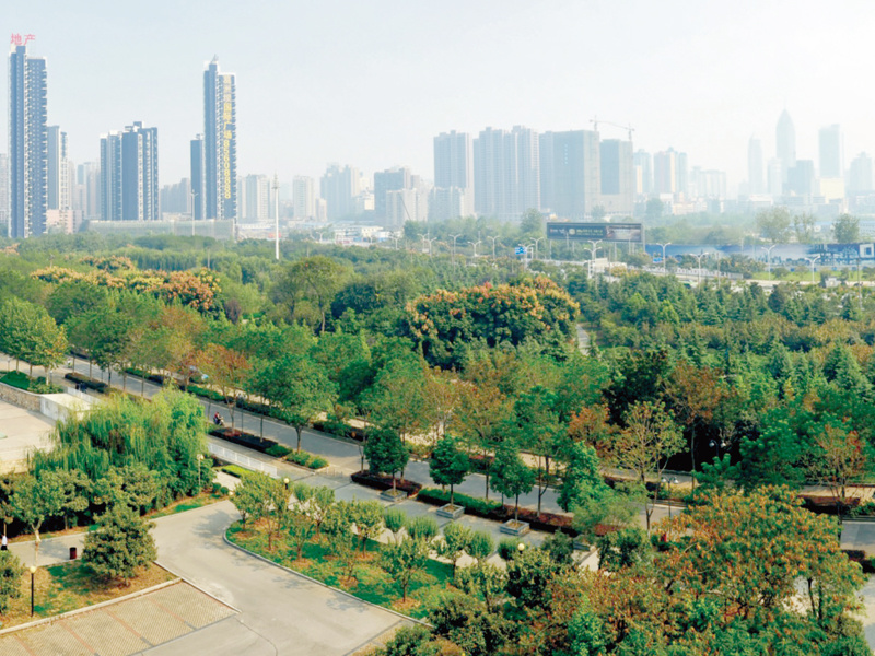 范湖小森林景观