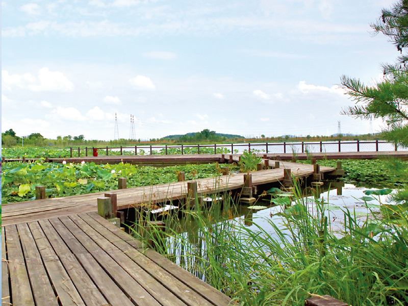 龙灵山生态公园