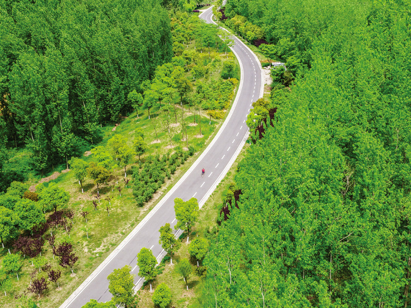 张公堤城市森林公园 一带——江汉至岱山段