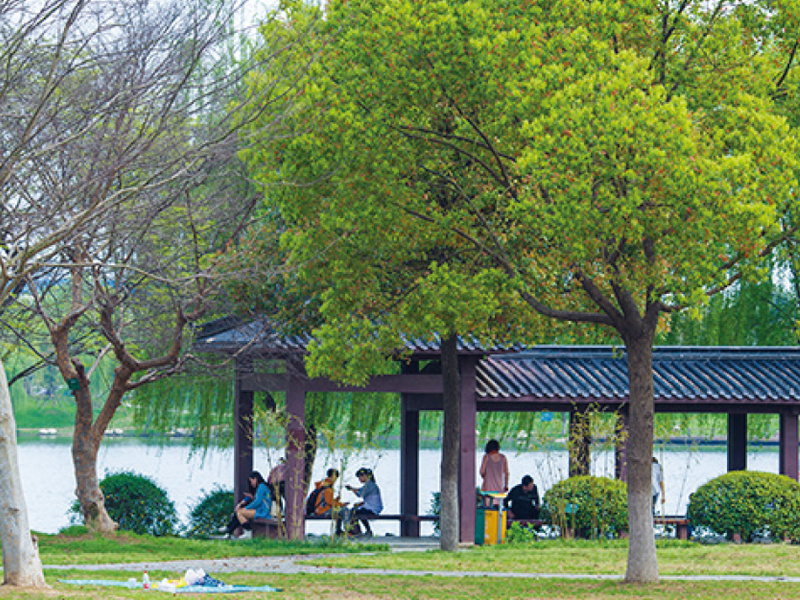 汤湖工人文化宫景观改造