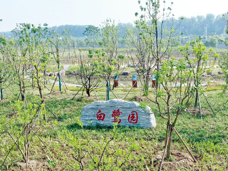 中韩石化白鹭园湿地景观工程