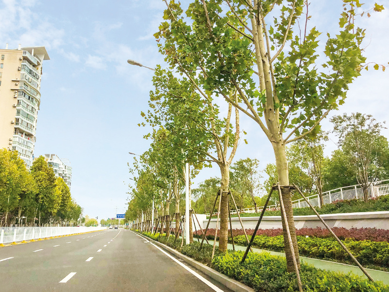 武汉江北快速路景观