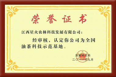 油茶科技示范基地