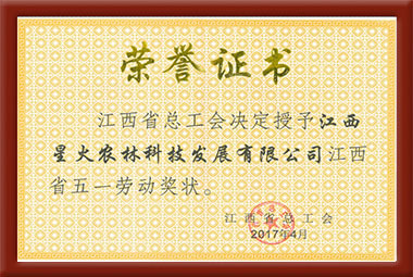 五一勞動獎狀