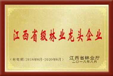江西省級林業(yè)龍頭企業(yè)