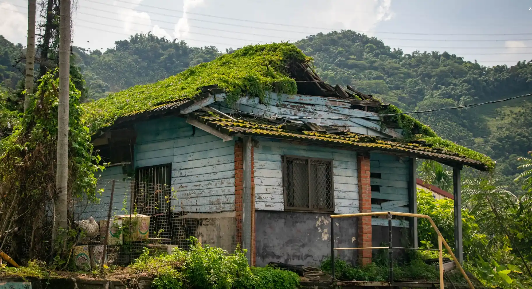 Early Warning Signs of Roof Damage: Protect Your Home Before Disaster Strikes