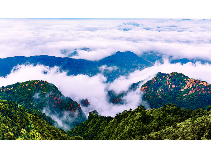周衛(wèi)軍《云舞仙山》