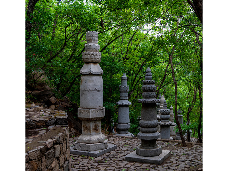 竇永梅《塔影掩翠》