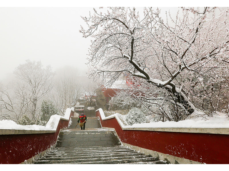 趙立《風(fēng)雪無阻》