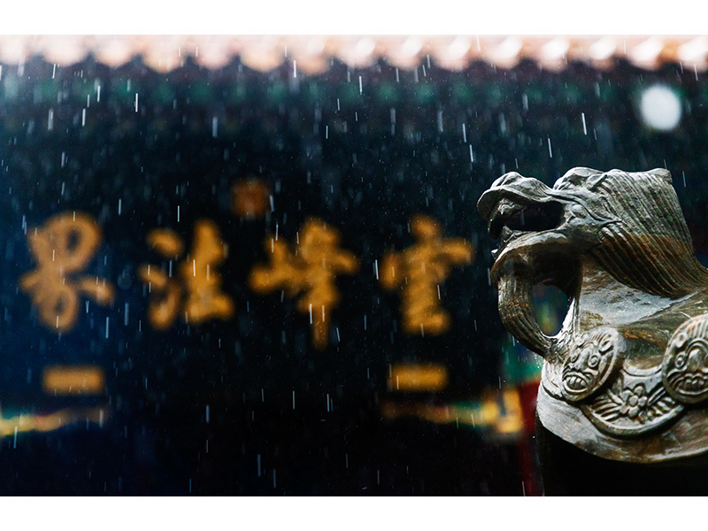 蔡志秀《風(fēng)調(diào)雨順》
