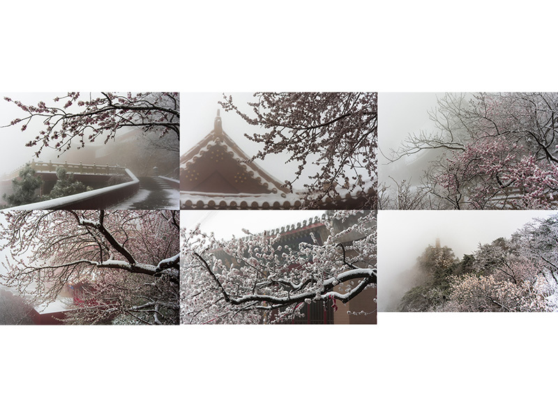 王磊《夢境盤山》（組照）