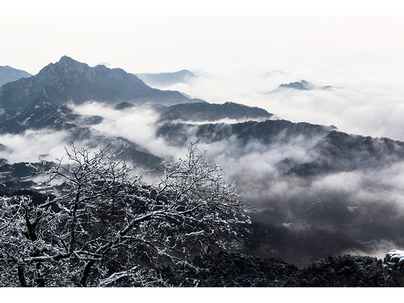 劉柏嶺《佛山凈地》