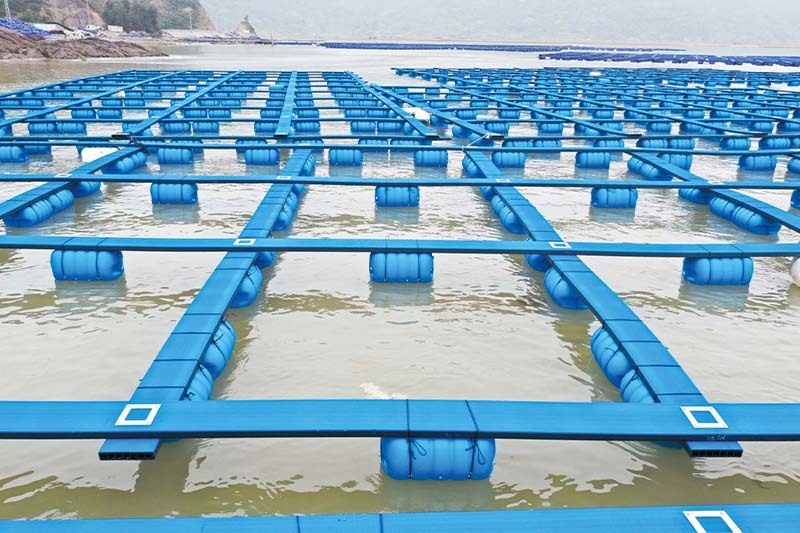 海洋养殖浮桶系列产品