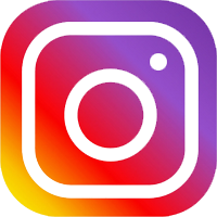 INS