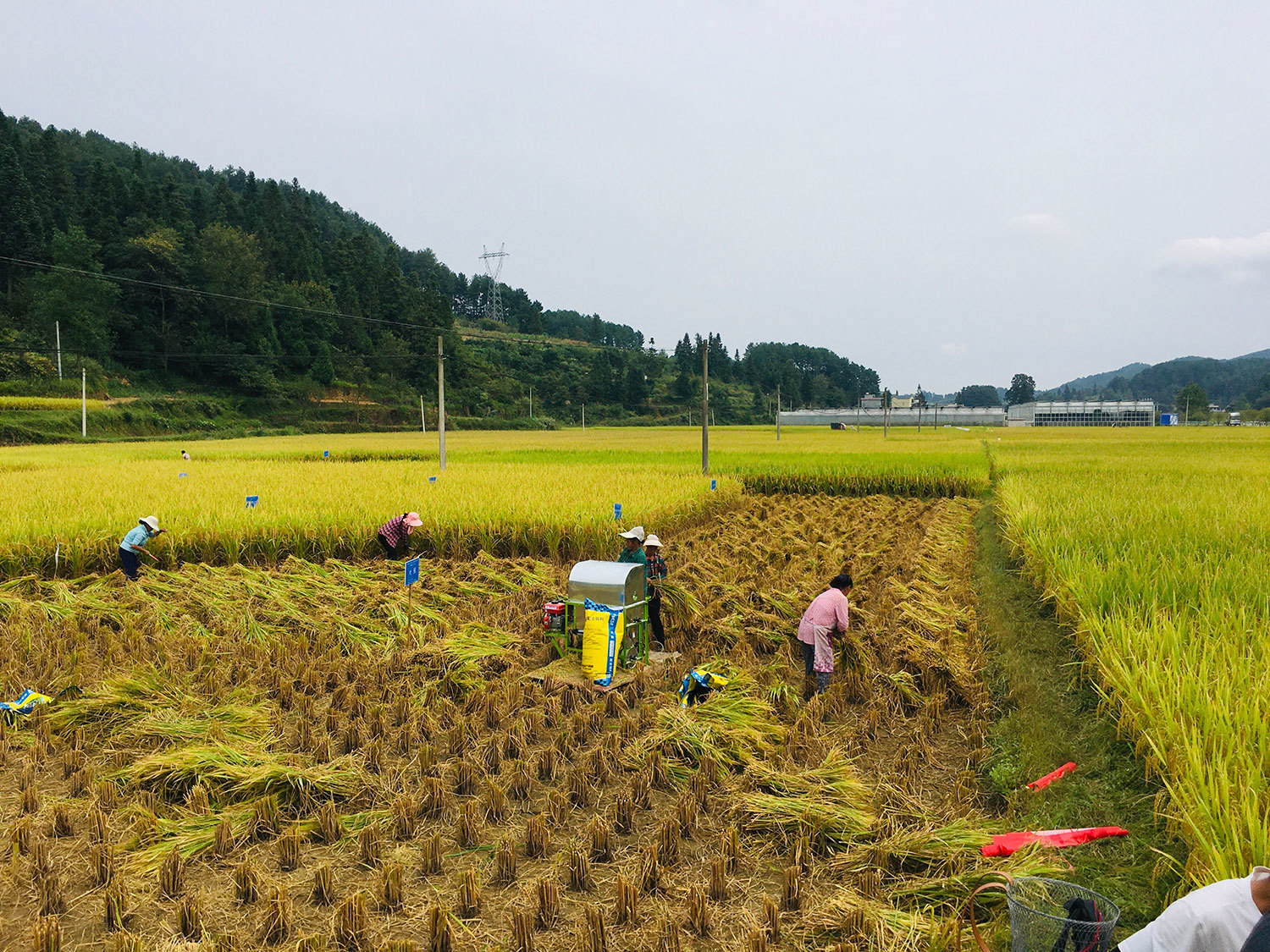 Planting base