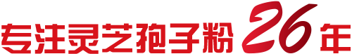 关于我们 关于我们