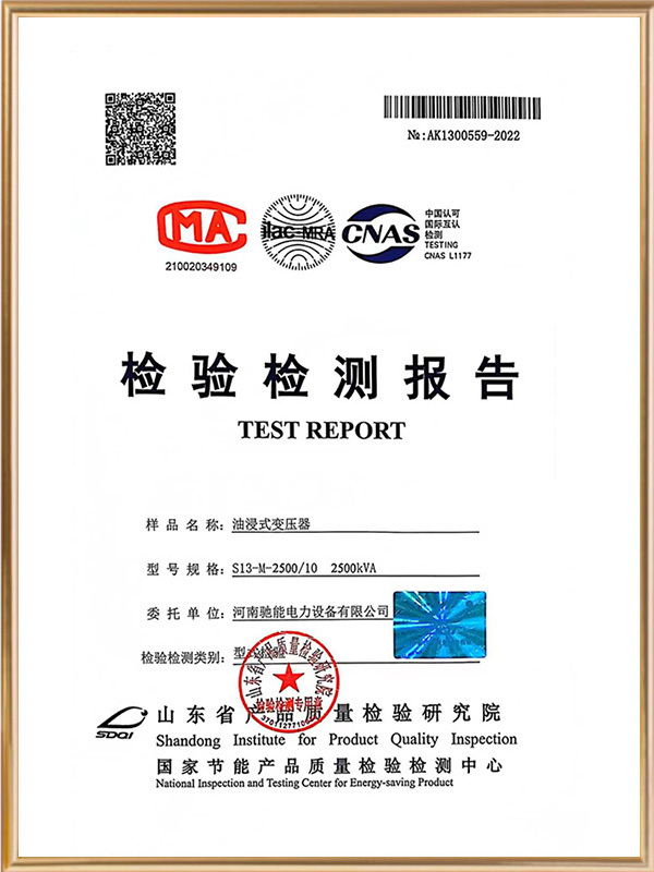 Oil-immersed transformer inspection and test report Oil-immersed transformer inspection and test report