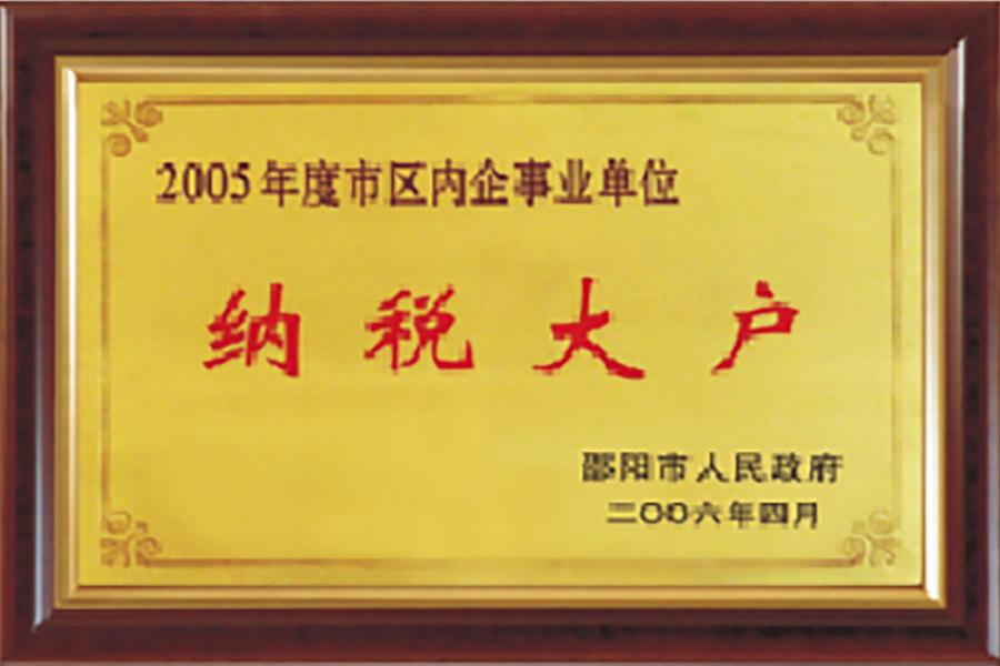 2005年大税大户