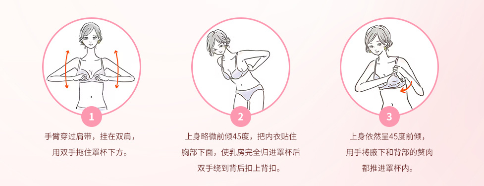 内衣的穿戴步骤 内衣的穿戴步骤