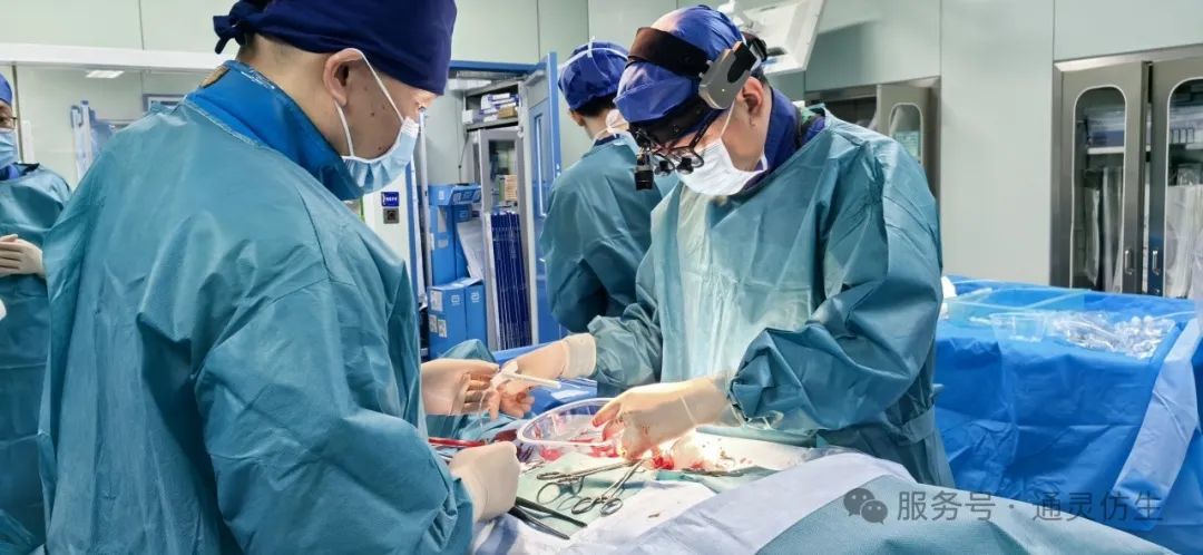守护“心”生 | 吉大一院马大实教授团队成功应用通灵仿生TeleHeart P50救治心脏危重患者