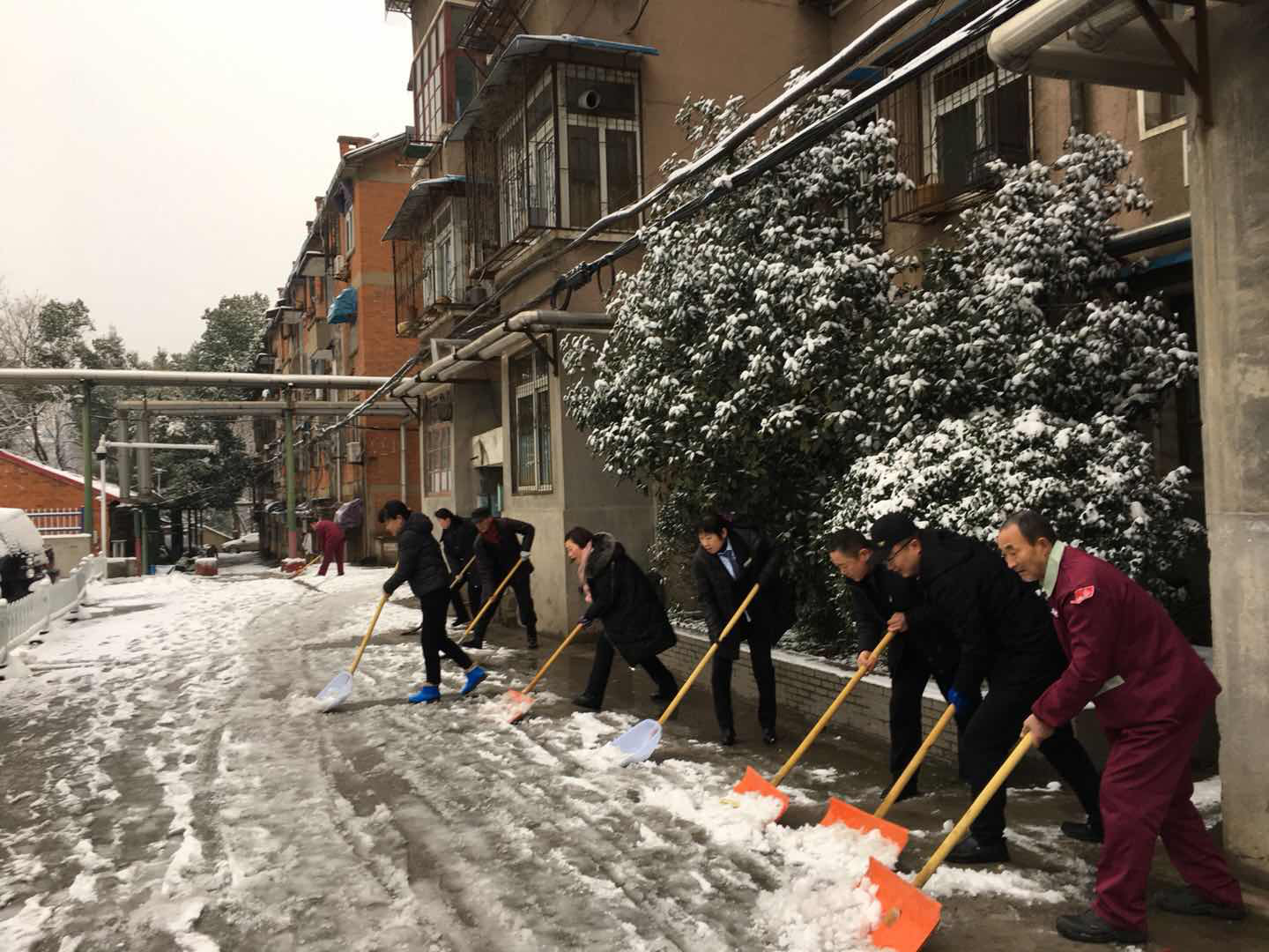 以雪為令，他們一夜無(wú)眠！