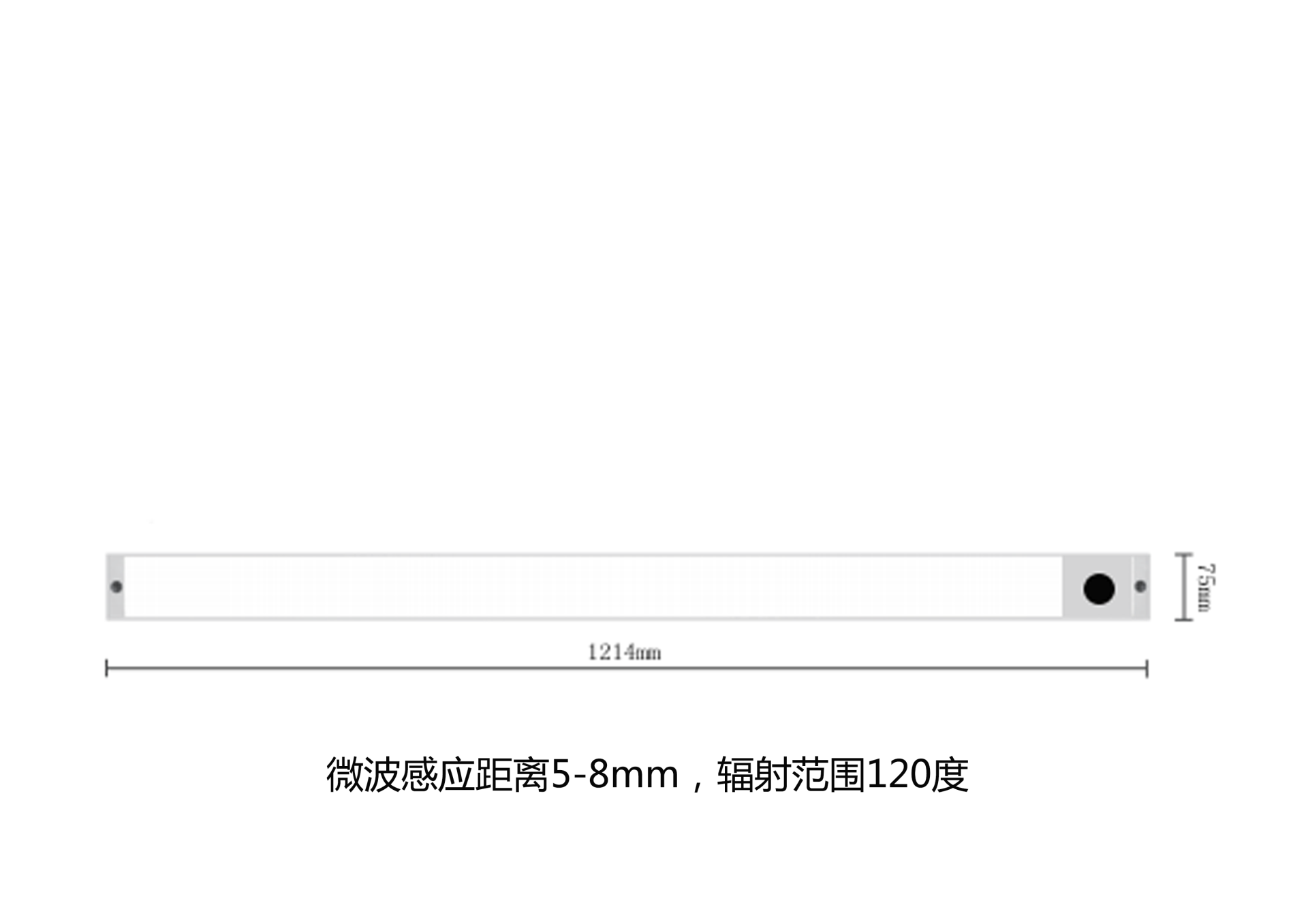 金輿2.png