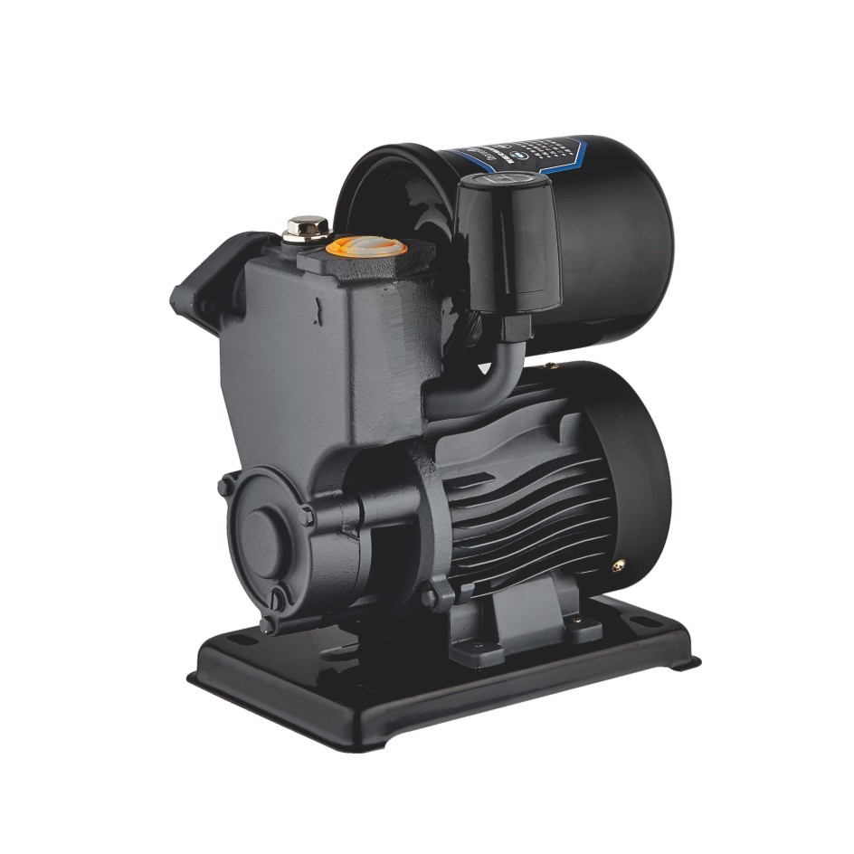 LDS-A Auto Water Pump