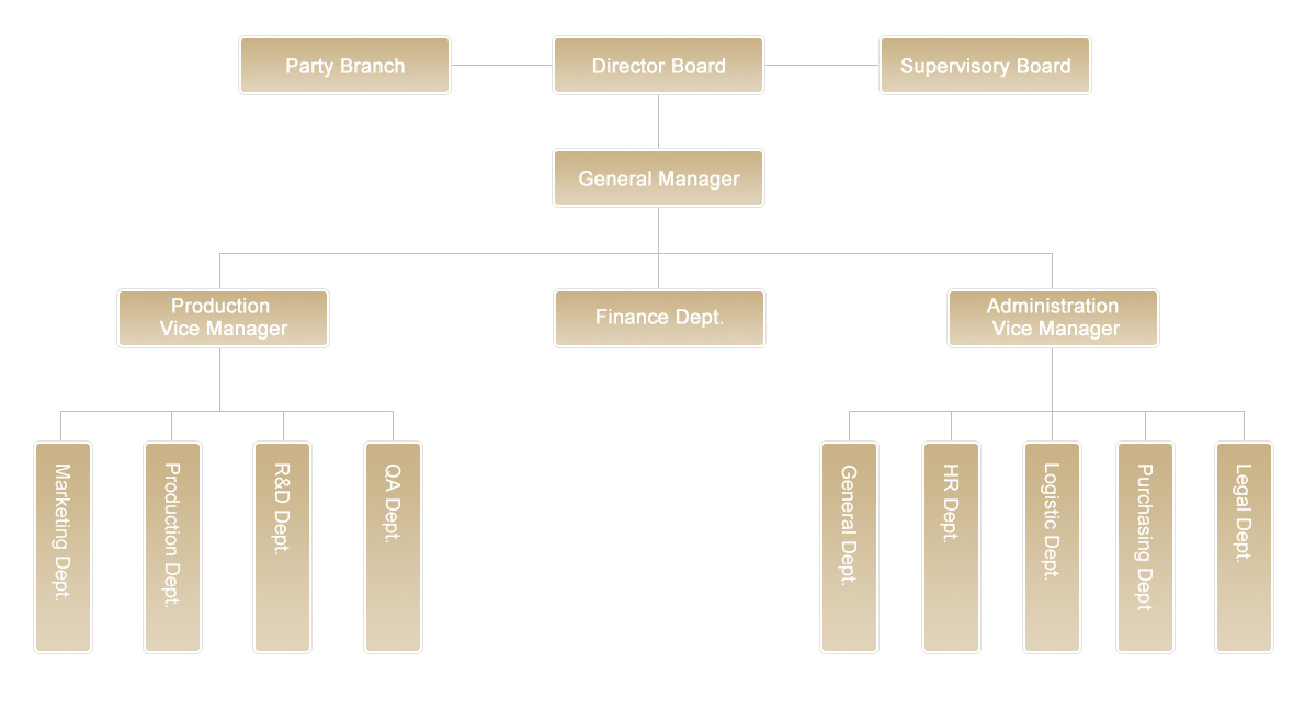 Company Structure