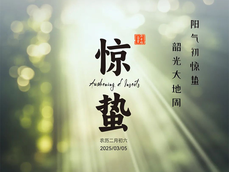 今日惊蛰 | 所有的蛰伏，终将破土而出！
