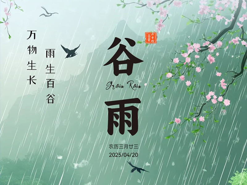 今日谷雨 | 雨生百谷、万物逢时，最是人间四月天、不负春光不负己！