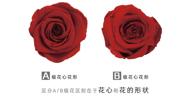 永生花玫瑰花头AB级对比图