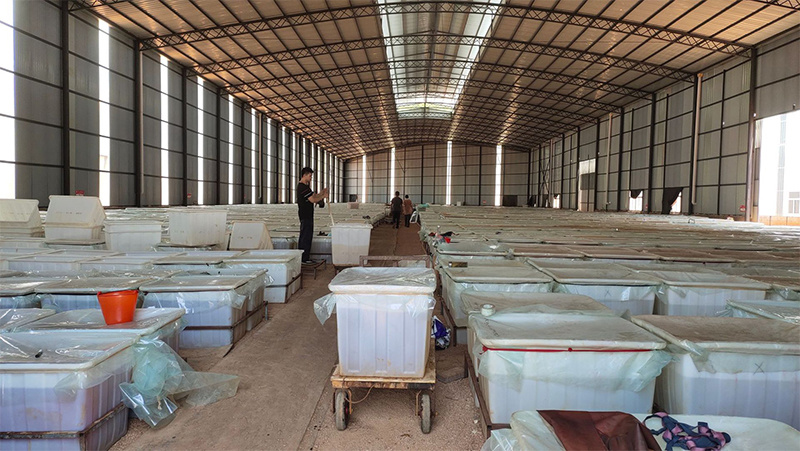 Preserved flower manufacturing process in Yunnan factory, rose head selection and packing