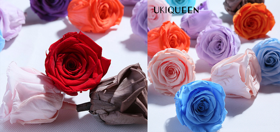 OEM Preserved Roses in Multiple Colors