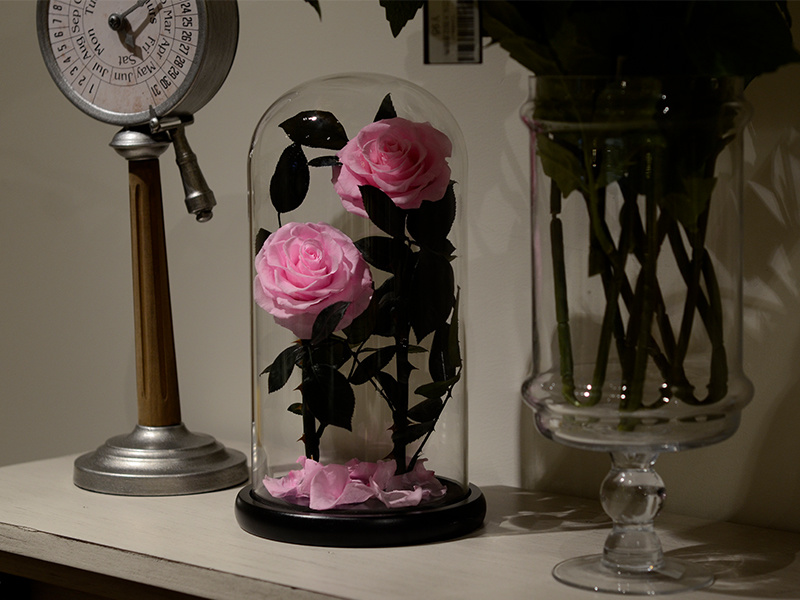 Preserved flower dome displayed indoors away from sunlight for long-lasting color