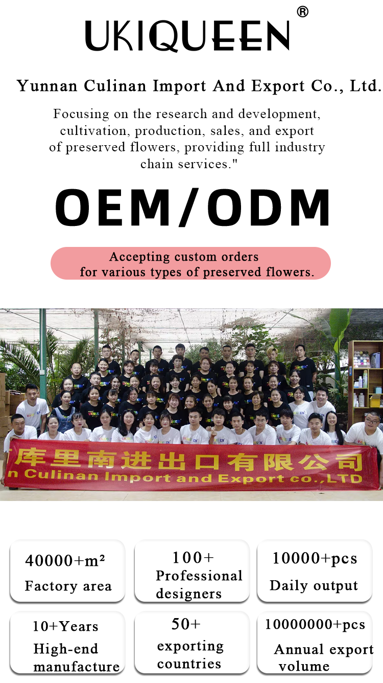 
Cullinan Preserved Flower Factory Introduction Infographic