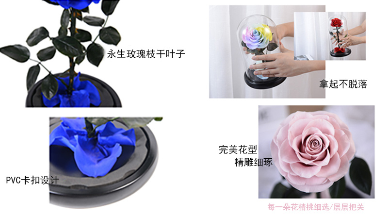 永生花玫瑰玻璃罩枝干、玫瑰花型细节图