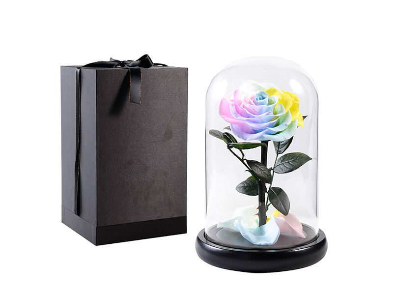 Collection of top-selling preserved rose gift packaging styles Glass Gife