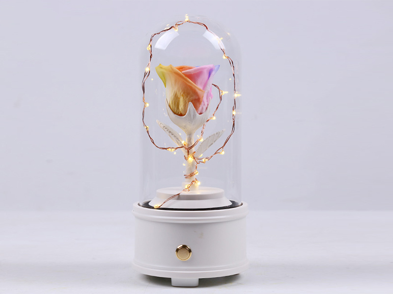 preserved rose music box with acrylic/glass cover