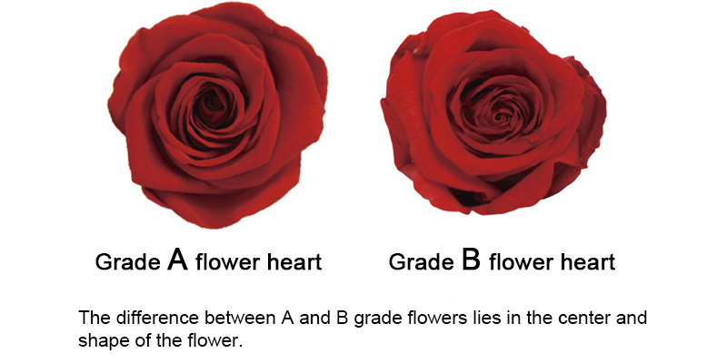 Comparison chart of AB grade of preserved rose flower heads