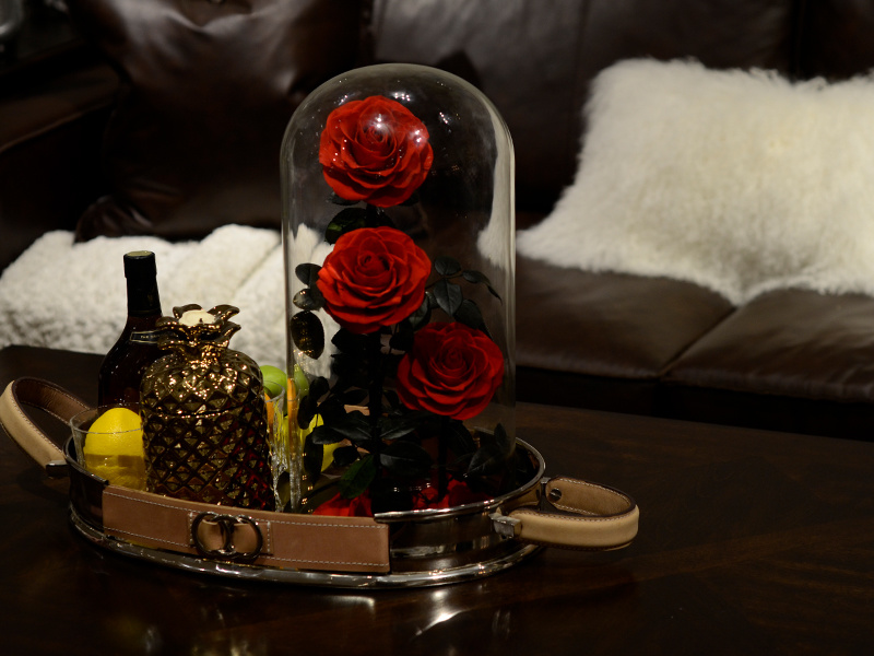 Glass dome preserved rose with wooden base – romantic gift packaging